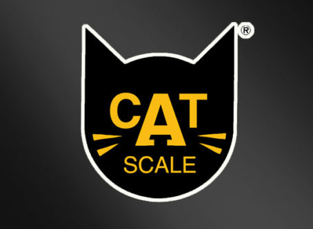 CAT Scale logo