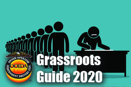 Grassroots Guide 2020 initiatives