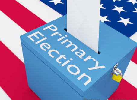 primary elections graphic