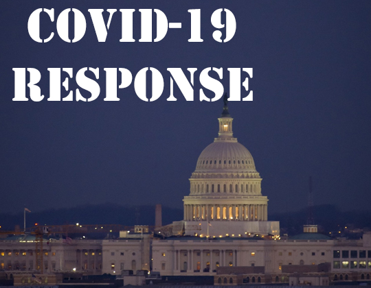 COVID-19 coronavirus pandemic federal response