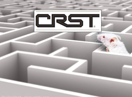 CRST rat maze of driver training