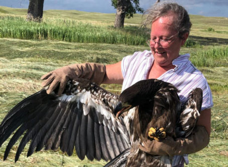 Kat Kennedy releases her recent eagle rescue.