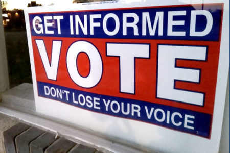 VOTE get informed, don' lose your voice sign