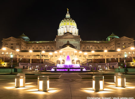 Public Private Partnerships, U.S. Capitol building at night
