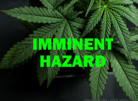 imminent hazard - marijuana