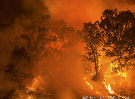 Oregon governor invokes emergency response for wildfire relief