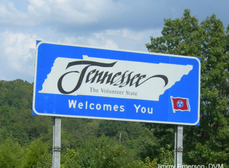 Welcome to Tennessee sign photo by Jimmy Emerson, DVM