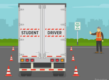 Driver training graphic by flatvectors