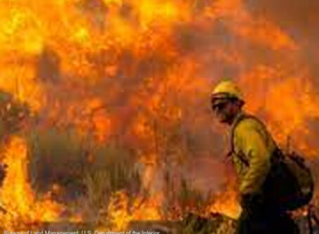 Idaho wildfire, Bureau of Land Management, U.S. Department of the Interior