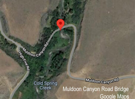 Muldoon Canyon Road bridge in Blaine County, Idaho. From Google Maps