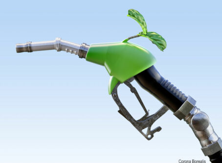 Diesel pump nozzle with green sprout by Corona Borealis
