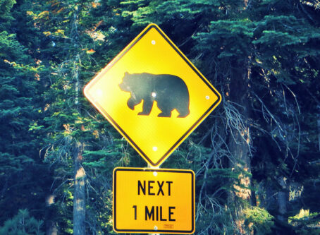 Wildlife (bear) crossing sign near Lake Tahoe, Calif. Image by Ken Lund