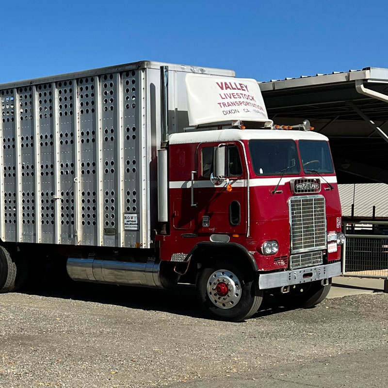 Bobtail Apparel Truck Show 2023, photo by Marty Ellis, OOIDA