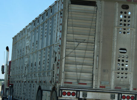 Livestock trailer. Photo by Chuck Robinson, OOIDA