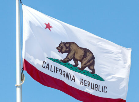 California flag. Image by Kenny Tong