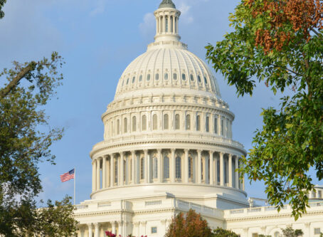 .S. Capitol Building, Washington, D.C. Image by Orhan Cam